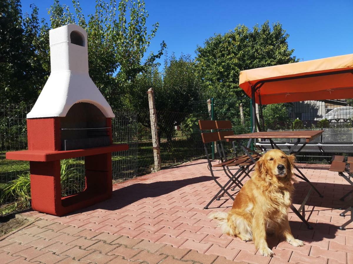Apartman Kaszas Garden Mosonmagyaróvár エクステリア 写真